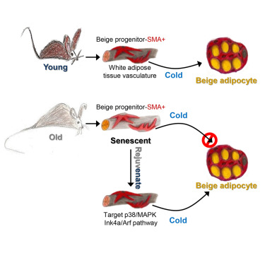 豪门国际官网-追求康健,你我一起开展