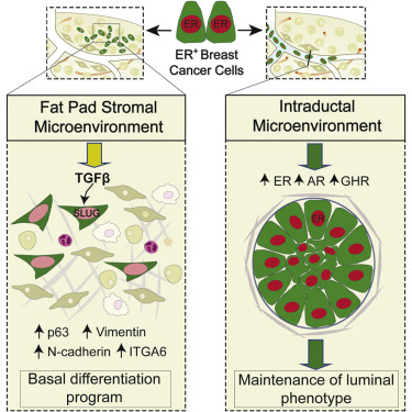 豪门国际官网-追求康健,你我一起开展