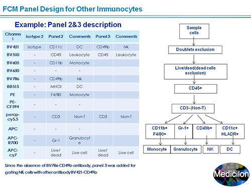 豪门国际官网副总裁汪俊博士SAPA-DC聚会演讲PPT