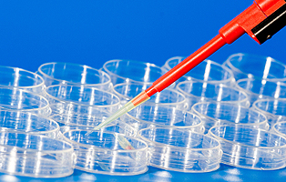 豪门国际官网-追求康健,你我一起开展