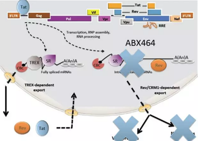 豪门国际官网-追求康健,你我一起开展