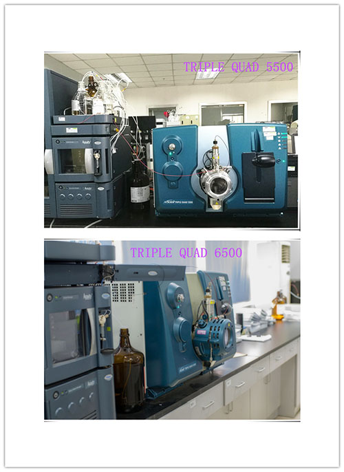 豪门国际官网小分子仿制药生物剖析部分仪器