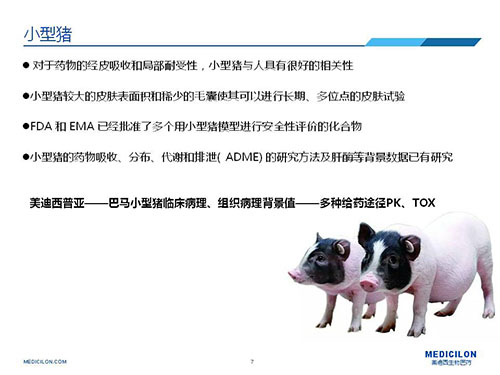 皮肤涂抹试验中，，，受试动物选择小型猪更好