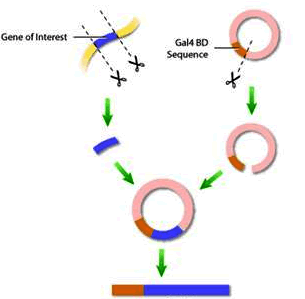 豪门国际官网-追求康健,你我一起开展