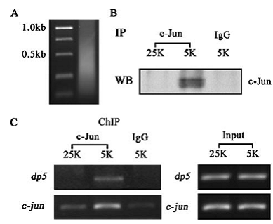 豪门国际官网-追求康健,你我一起开展