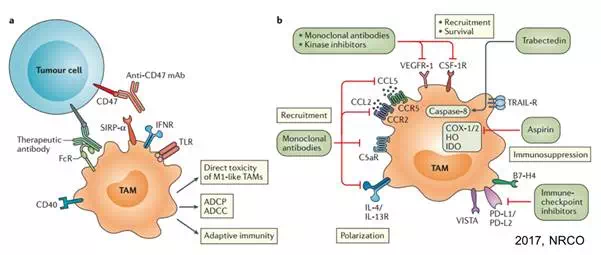 豪门国际官网-追求康健,你我一起开展