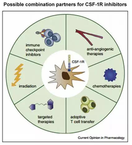 豪门国际官网-追求康健,你我一起开展