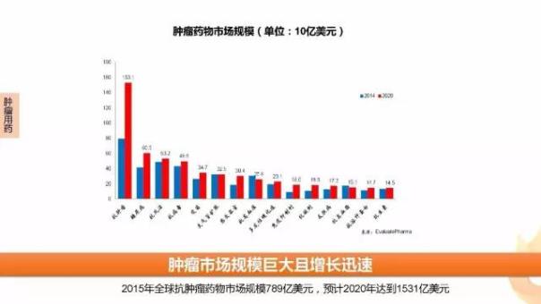 豪门国际官网-追求康健,你我一起开展