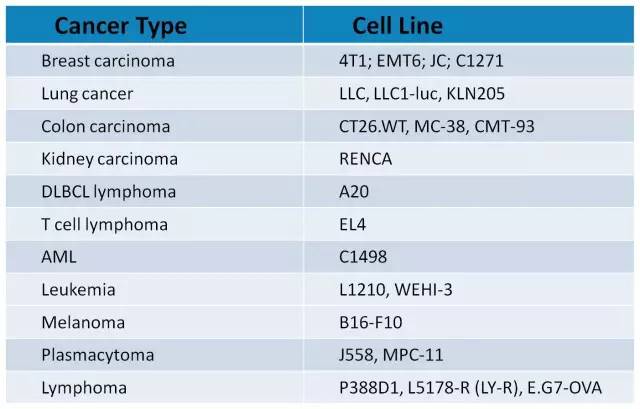 豪门国际官网-追求康健,你我一起开展