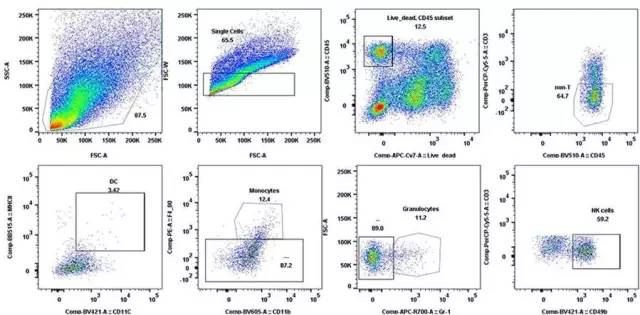 豪门国际官网-追求康健,你我一起开展