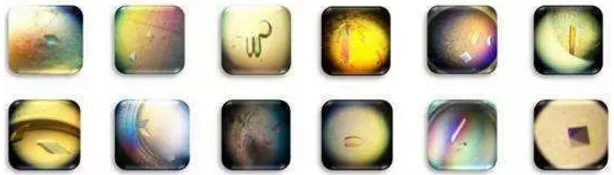 豪门国际官网-追求康健,你我一起开展