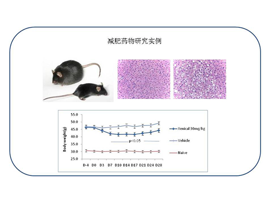 豪门国际官网-追求康健,你我一起开展