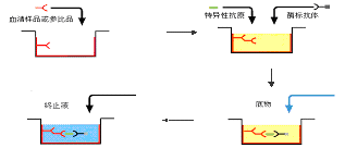 豪门国际官网-追求康健,你我一起开展
