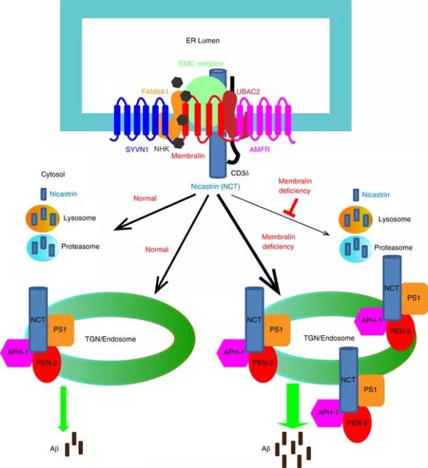 豪门国际官网-追求康健,你我一起开展