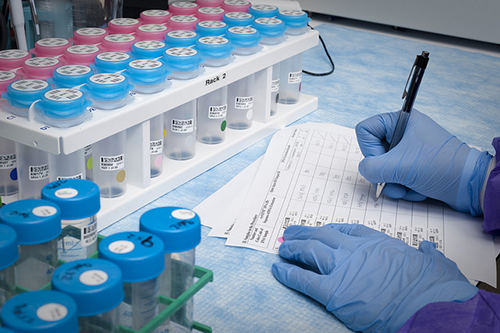 大浪淘沙快者胜！！！已完成BE大品种谁主战场