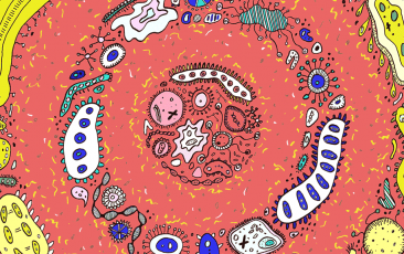 豪门国际官网-追求康健,你我一起开展