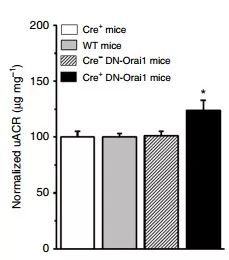 豪门国际官网-追求康健,你我一起开展
