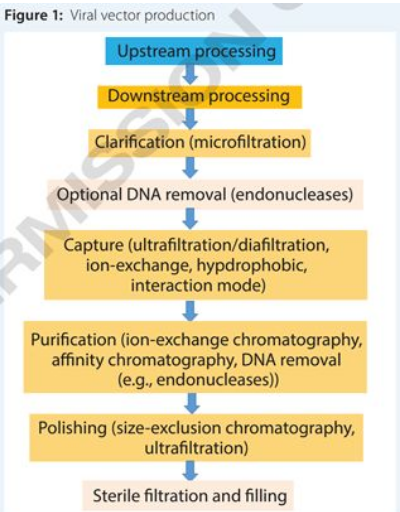 豪门国际官网-追求康健,你我一起开展