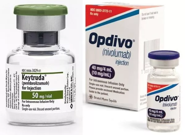 豪门国际官网-追求康健,你我一起开展