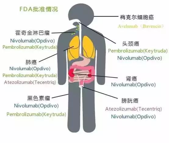 豪门国际官网-追求康健,你我一起开展