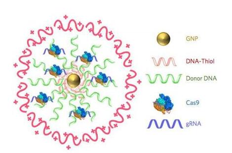 豪门国际官网-追求康健,你我一起开展