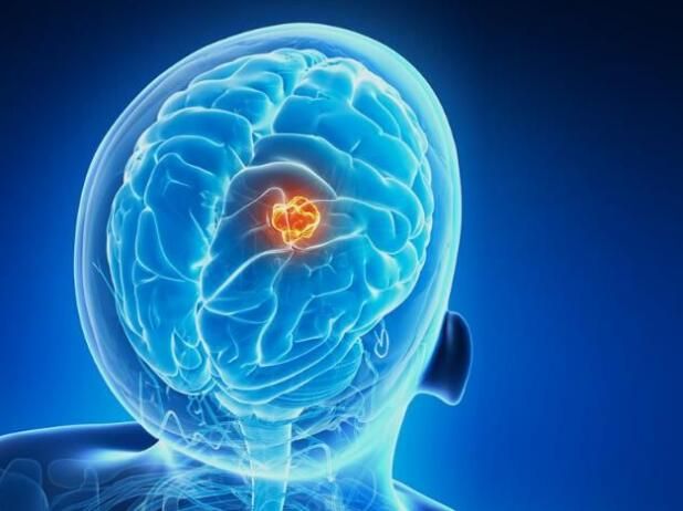 豪门国际官网-追求康健,你我一起开展