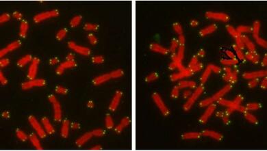 豪门国际官网-追求康健,你我一起开展