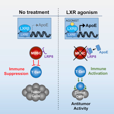 豪门国际官网-追求康健,你我一起开展