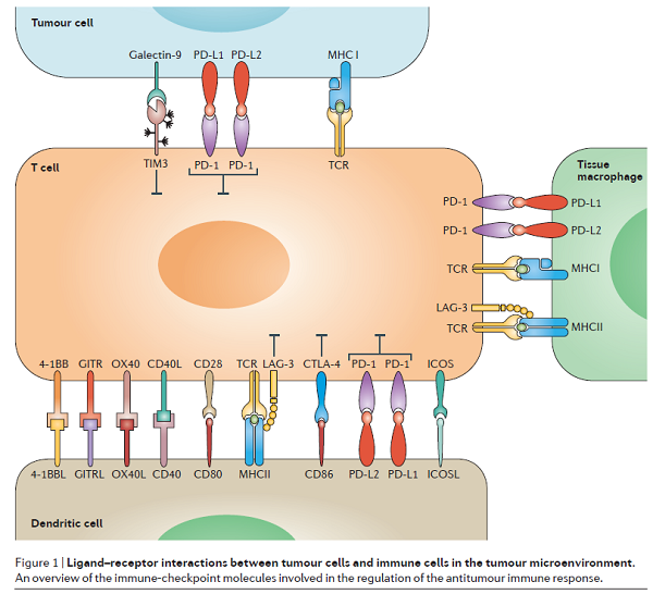 豪门国际官网-追求康健,你我一起开展