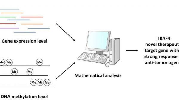 豪门国际官网-追求康健,你我一起开展