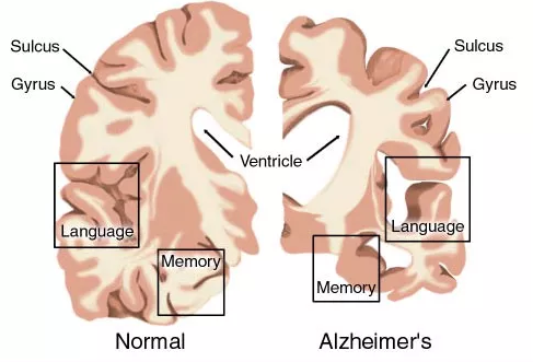 豪门国际官网-追求康健,你我一起开展