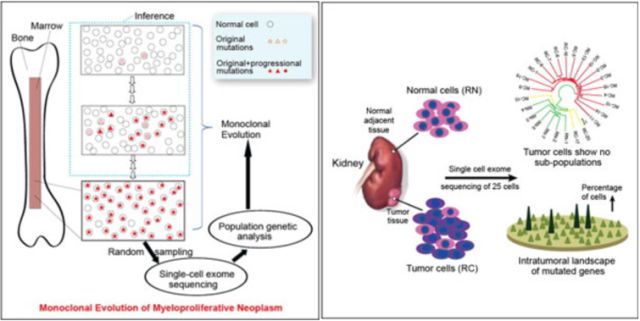 豪门国际官网-追求康健,你我一起开展