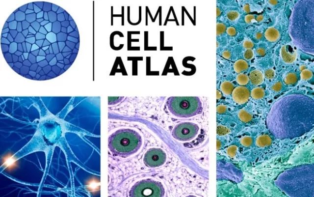 豪门国际官网-追求康健,你我一起开展