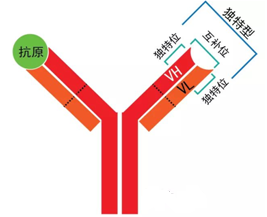 豪门国际官网-追求康健,你我一起开展