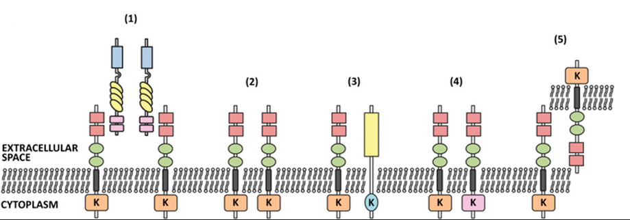 豪门国际官网-追求康健,你我一起开展