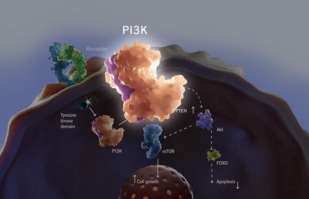 豪门国际官网-追求康健,你我一起开展
