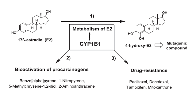 豪门国际官网-追求康健,你我一起开展
