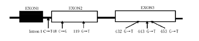 豪门国际官网-追求康健,你我一起开展