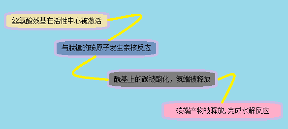 豪门国际官网-追求康健,你我一起开展