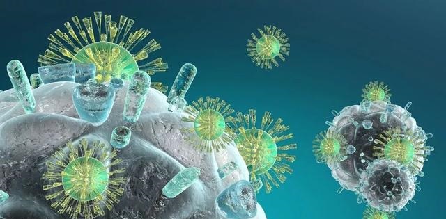 豪门国际官网-追求康健,你我一起开展