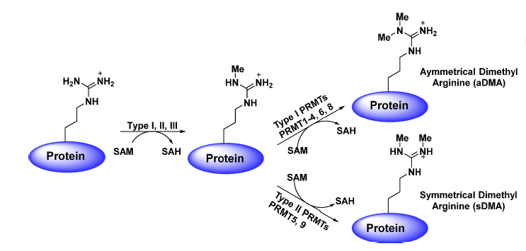 豪门国际官网-追求康健,你我一起开展
