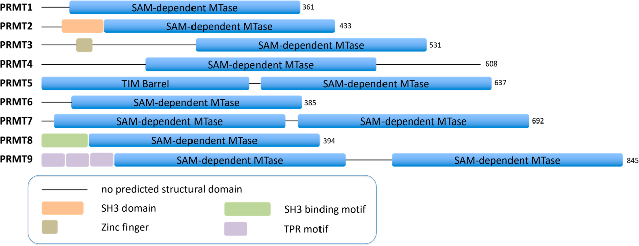 豪门国际官网-追求康健,你我一起开展