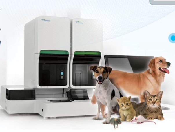 豪门国际官网-追求康健,你我一起开展