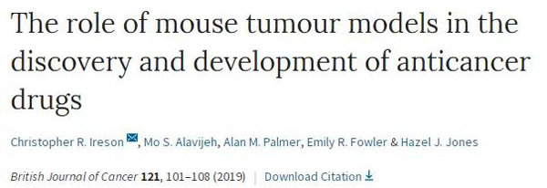 临床前小鼠模子怎样？