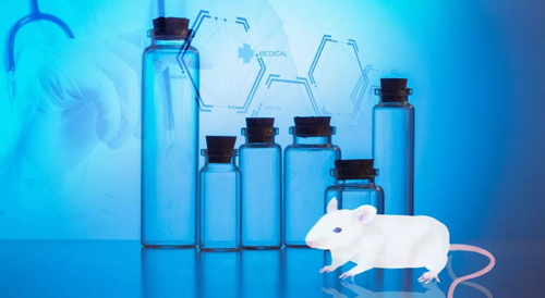 豪门国际官网-您理想的DMPK研究同伴