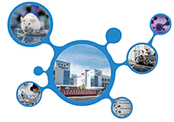 科创板首家CRO企业豪门国际官网获准注册