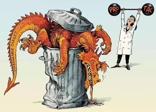 聚焦PROTAC：Make“Undruggable”TargetsDrugable