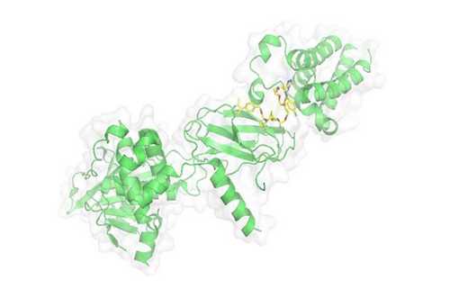 PROTAC手艺，，马兴泉