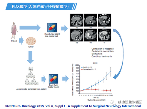 豪门国际官网PDX模子