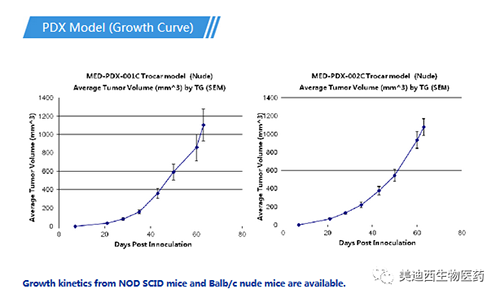 豪门国际官网PDX药效模子